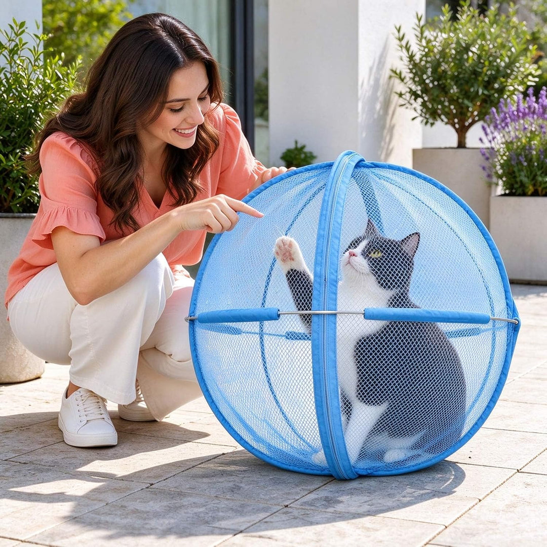 Outdoor Pet Explorer Sphere — Portable Mesh Enclosure