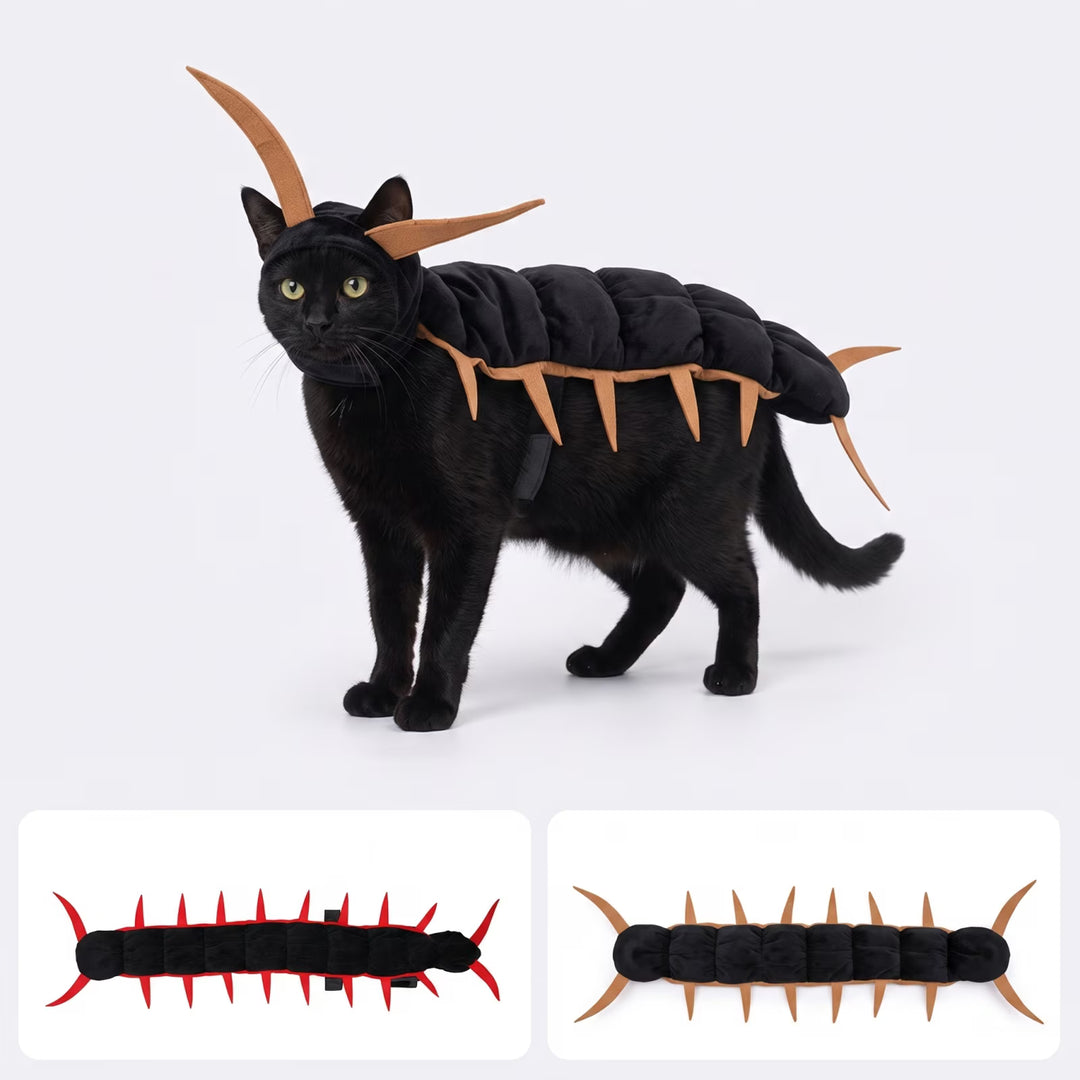 🎃Centipede Cat Halloween Costume