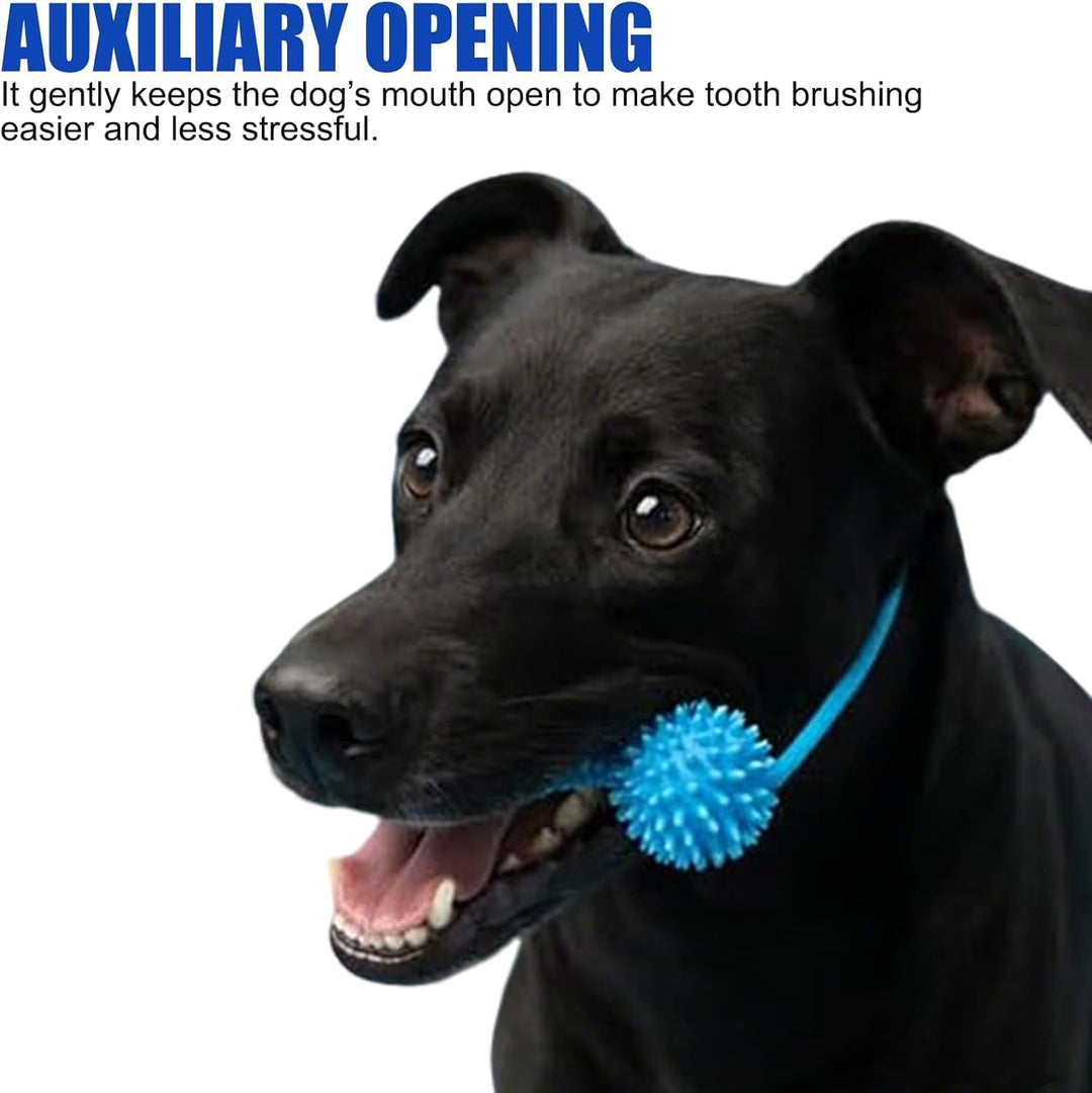 Interactive Dog Dental Chew Toy
