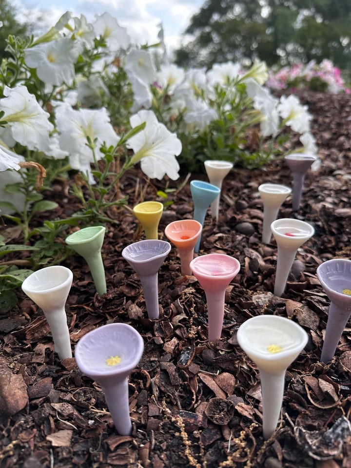 🌈Colorful Pollinator Water Cups
