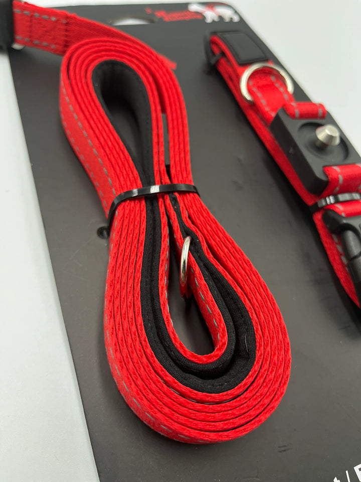 🐶Magnetic Quick-Lock Dog Collar & Leash Set