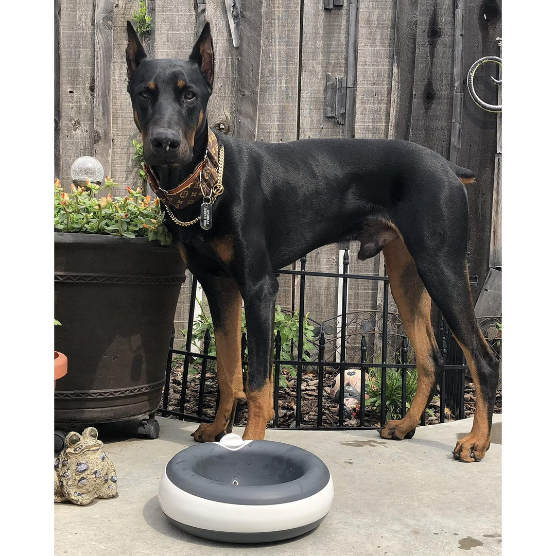 🐾Filtered Pet Water Bowl