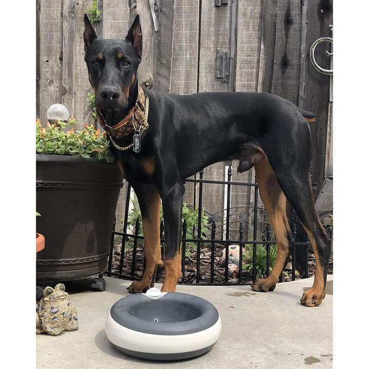 🐾Filtered Pet Water Bowl