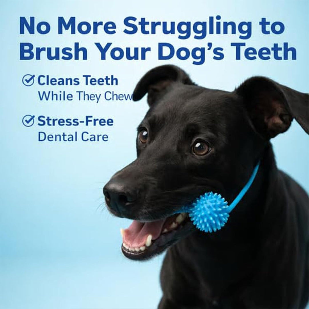 Interactive Dog Dental Chew Toy