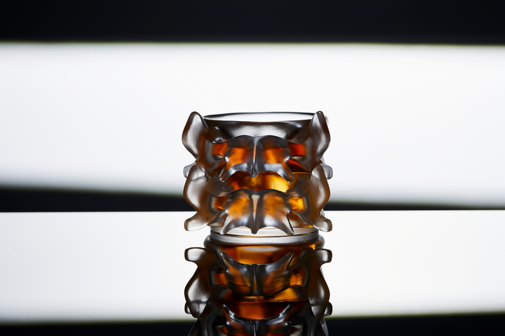 🥃Sculptural Spine-Inspired Crystal Glass — Handmade Art Drinkware