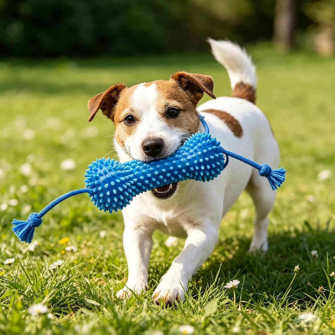 Interactive Dog Dental Chew Toy