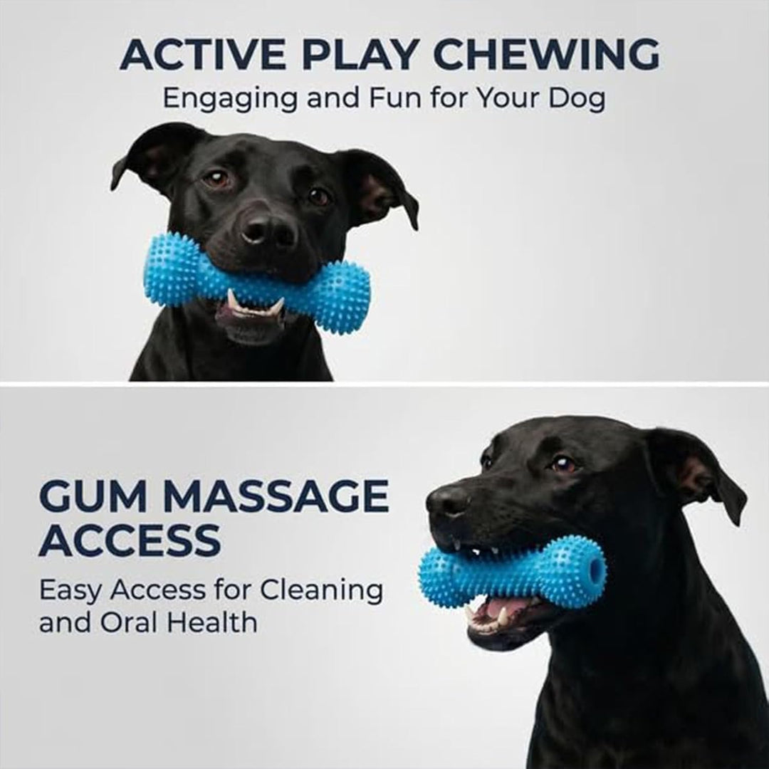 Interactive Dog Dental Chew Toy