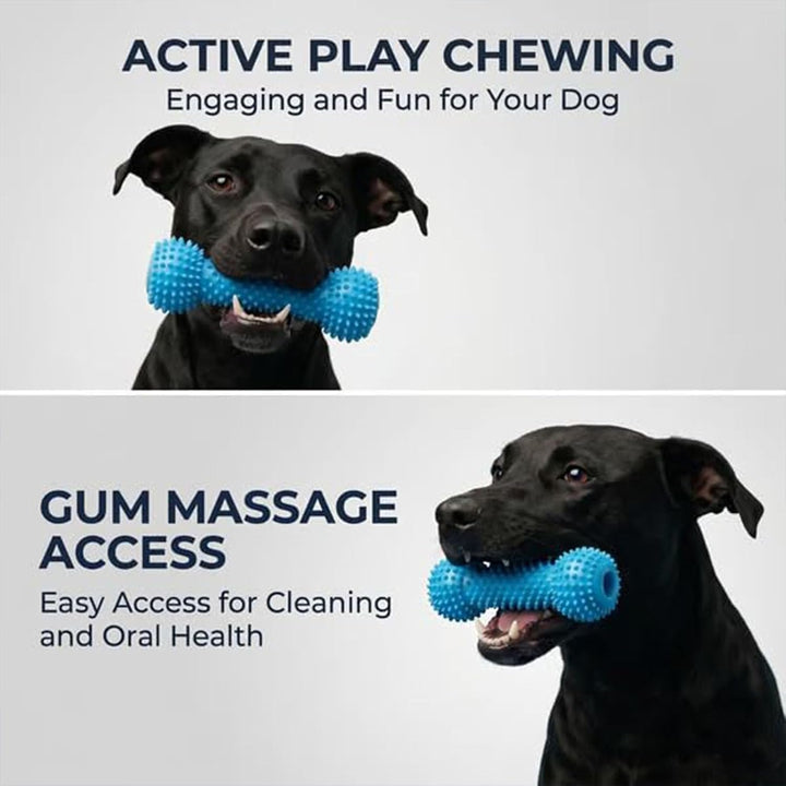 Interactive Dog Dental Chew Toy