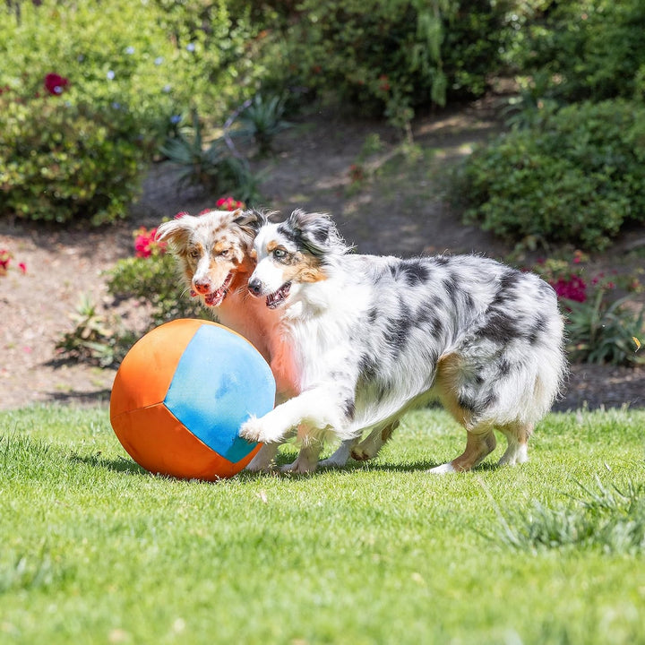 Large Interactive Inflatable Dog Ball