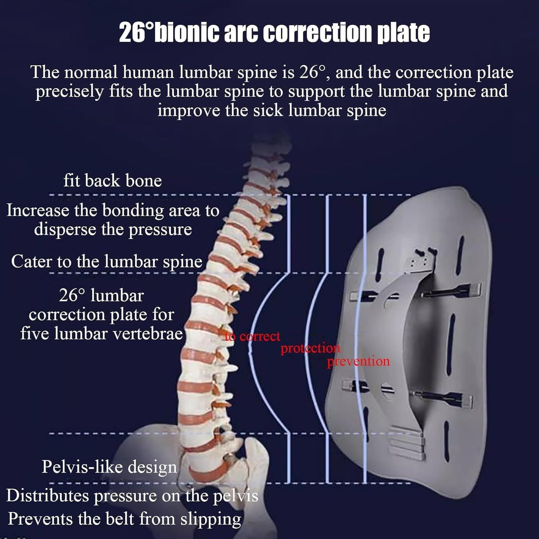 Adjustable Lumbar Support Belt – Ergonomic Waist & Back Support
