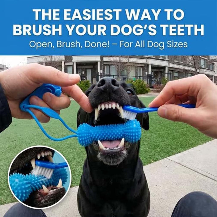 Interactive Dog Dental Chew Toy