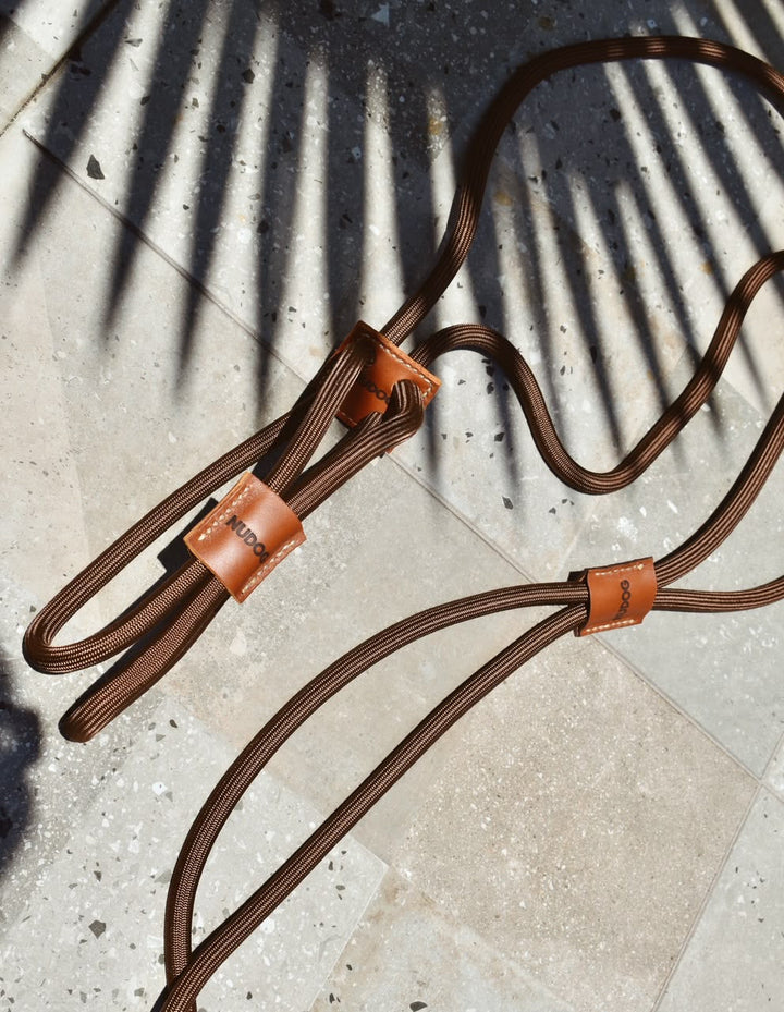 🐶Hands-Free Dog Walking Harness & Leash