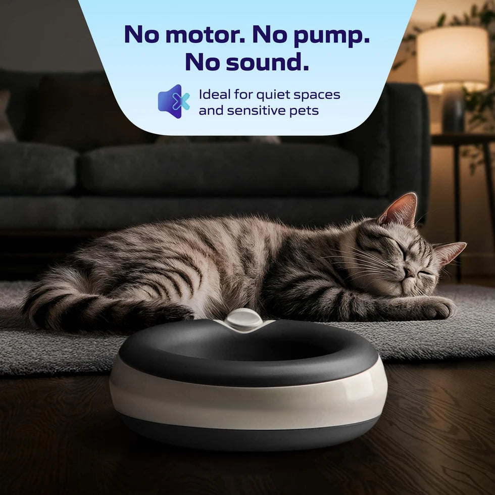 🐾Filtered Pet Water Bowl