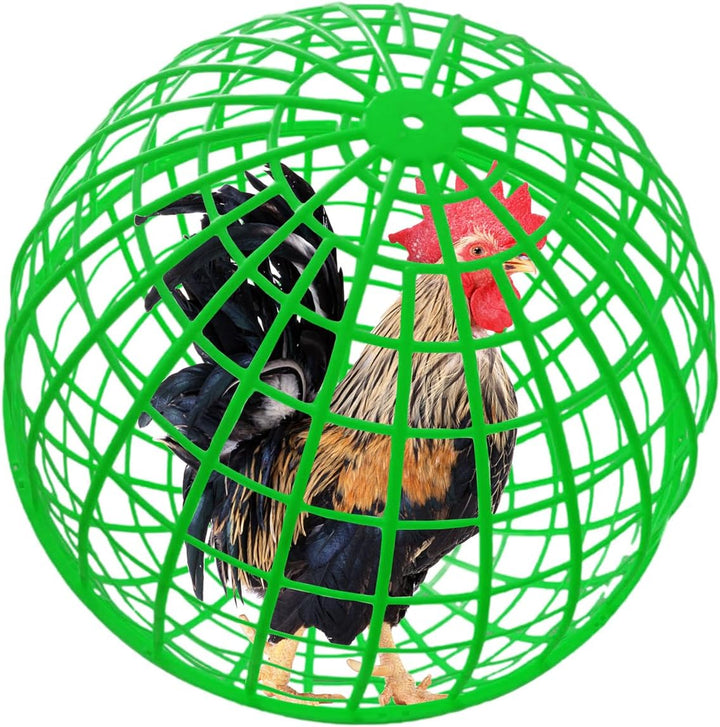 Movable Outdoor Poultry & Small Animal Enclosure