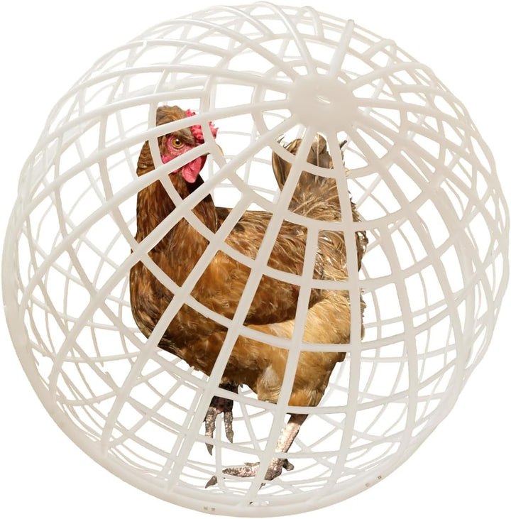 Movable Outdoor Poultry & Small Animal Enclosure