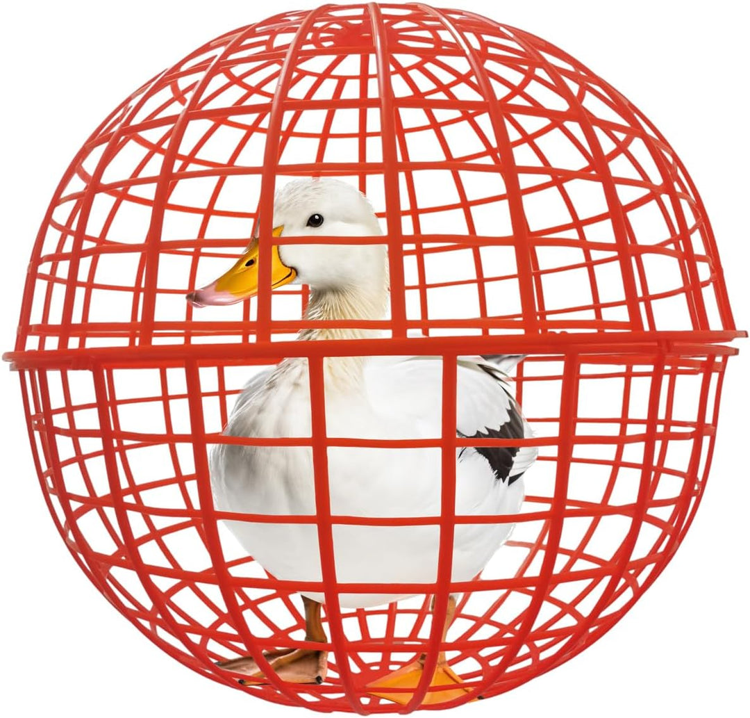 Movable Outdoor Poultry & Small Animal Enclosure