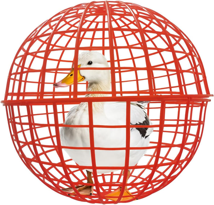 Movable Outdoor Poultry & Small Animal Enclosure