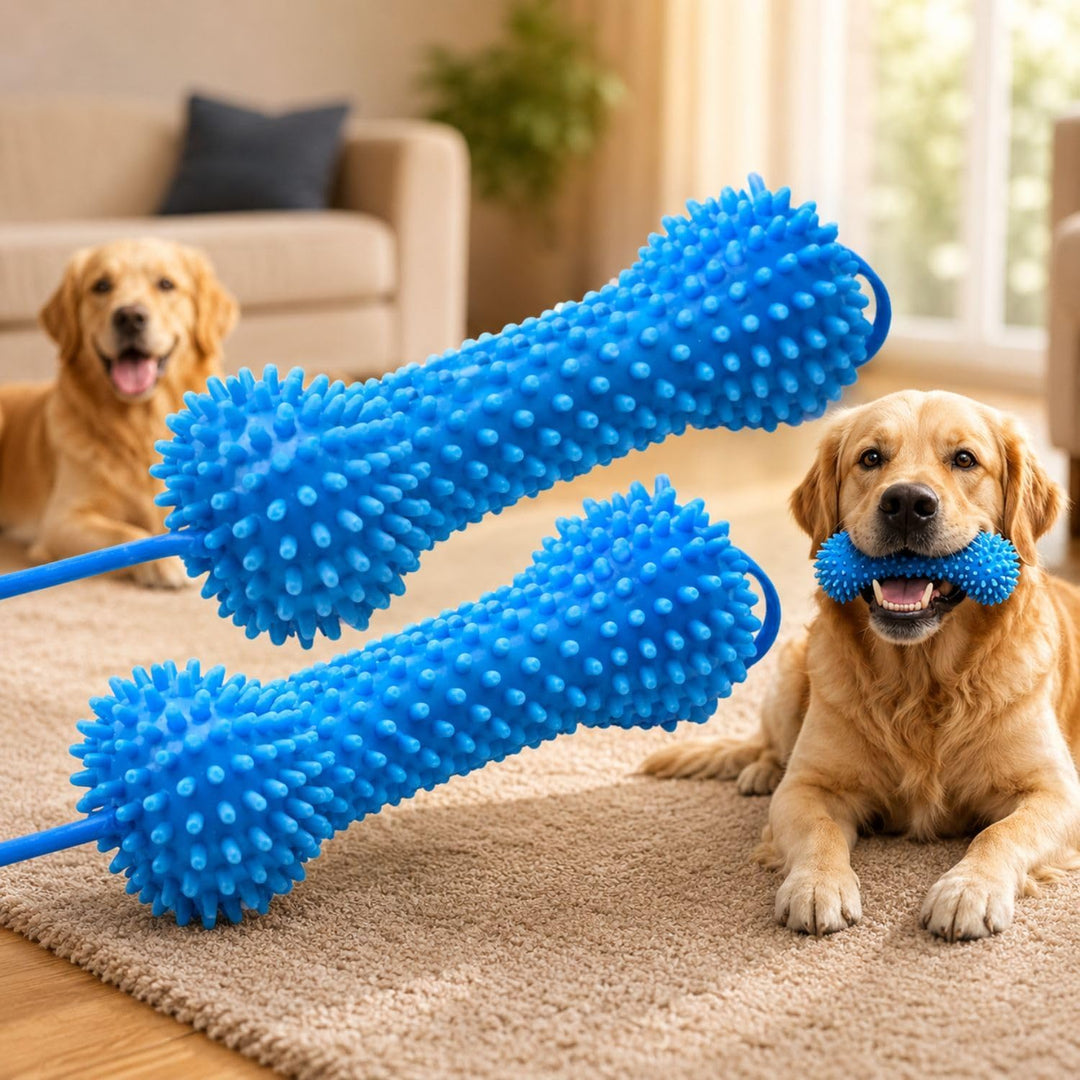 Interactive Dog Dental Chew Toy