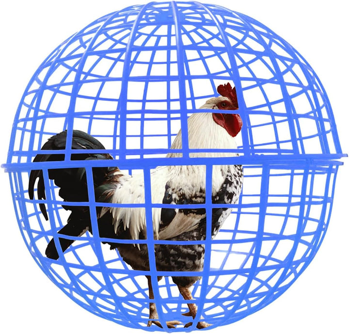 Movable Outdoor Poultry & Small Animal Enclosure