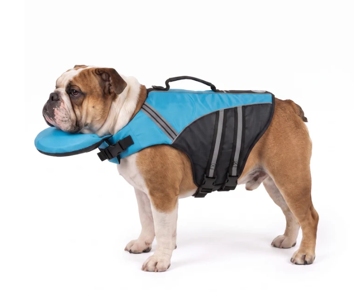 🐶 Adjustable Dog Life Jacket with Rescue Handle
