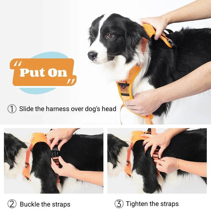 Adjustable Dog Harness with Retractable Leash