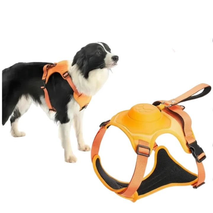 Adjustable Dog Harness with Retractable Leash
