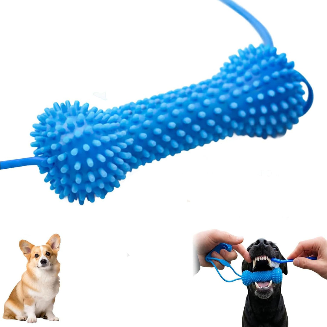 Interactive Dog Dental Chew Toy