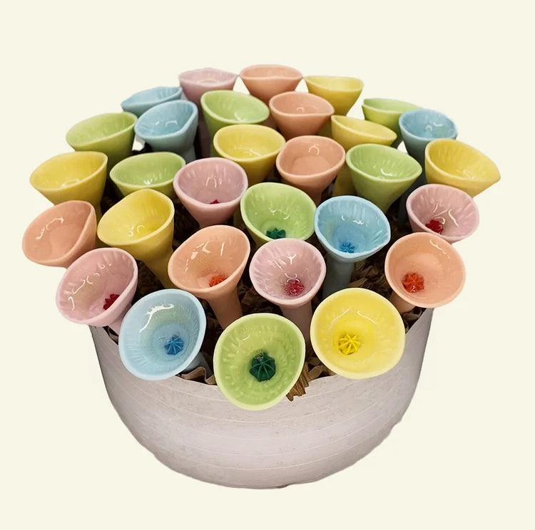 🌈Colorful Pollinator Water Cups